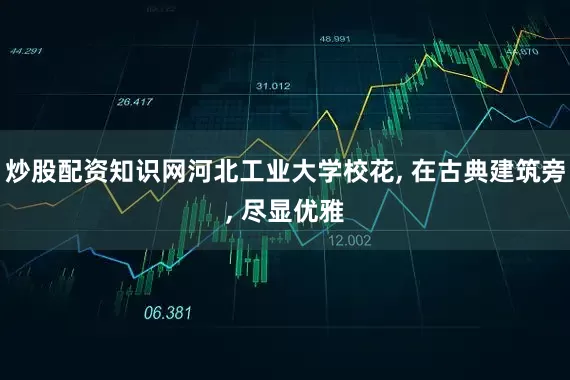 炒股配资知识网河北工业大学校花, 在古典建筑旁, 尽显优雅