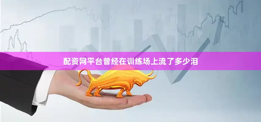 配资网平台曾经在训练场上流了多少泪